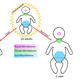 Human Microbiome Communities