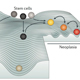 Chromatin State Regulates Cellular Transitions